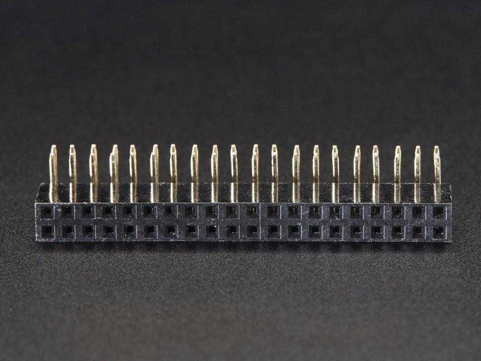 2.54mm 2×20 Right Angle Female Header Strip (Pack of 2)
