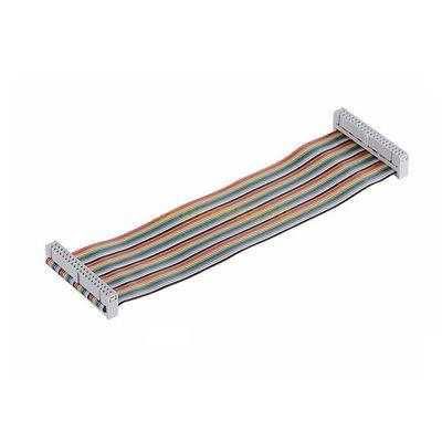 40 Pin Colorful Rainbow GPIO Female to Female Cable 20CM for Raspberry Pi