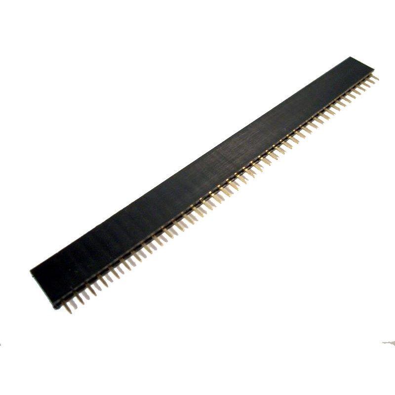40pin Female Header Small